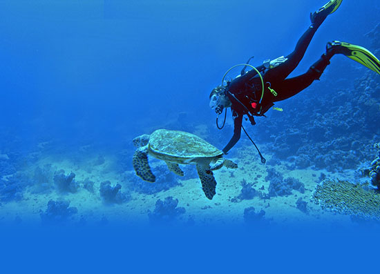 Flexi Tours - Andaman Adventure