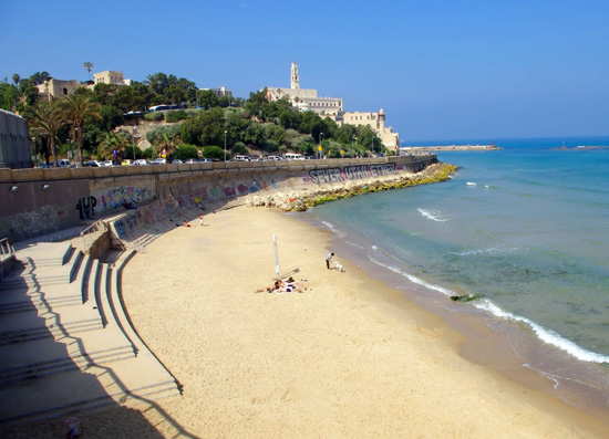 Flexi Tours - Special Offer