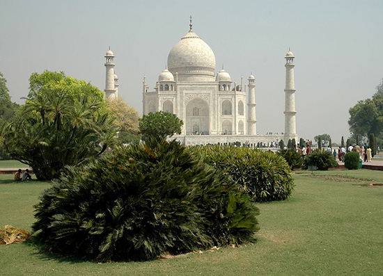 Flexi Tours - Golden Triangle Tour