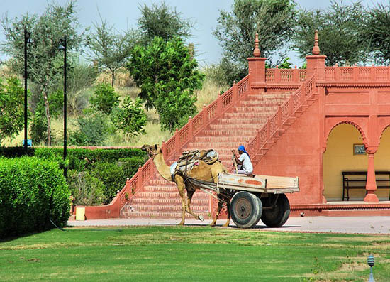 Flexi Tours - Rajasthan Tour