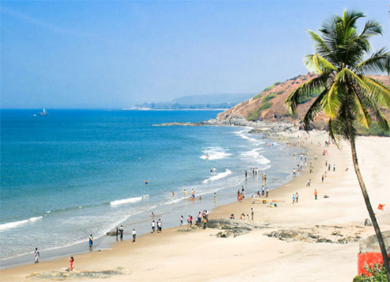 Flexi Tours - Goa