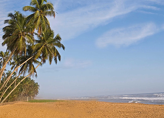 Flexi Tours - Goa