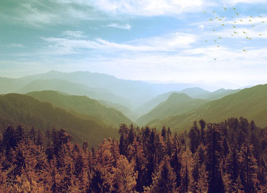 Flexi Tours - Himachal tour