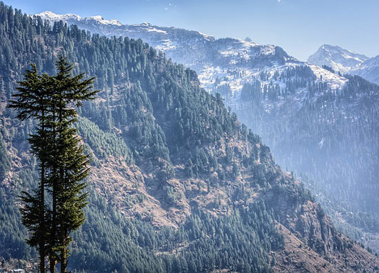Flexi Tours - Himachal tour