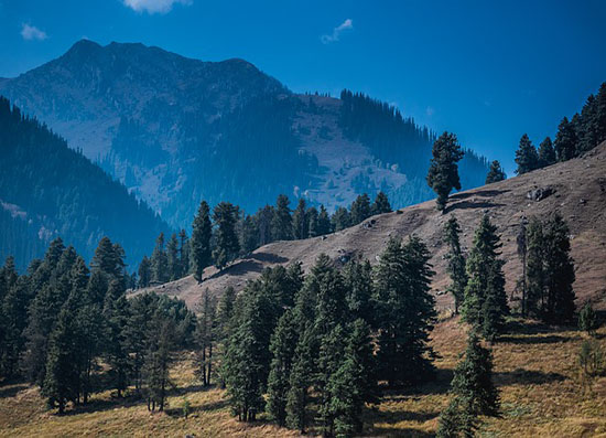 Flexi Tours - Kashmir Tour