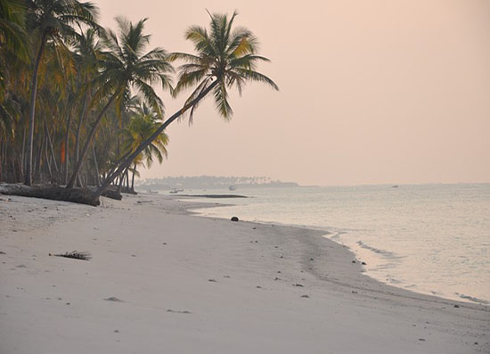 Flexi Tours - Lakshadweep Tour