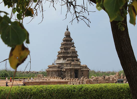 Flexi Tours - South India Tour